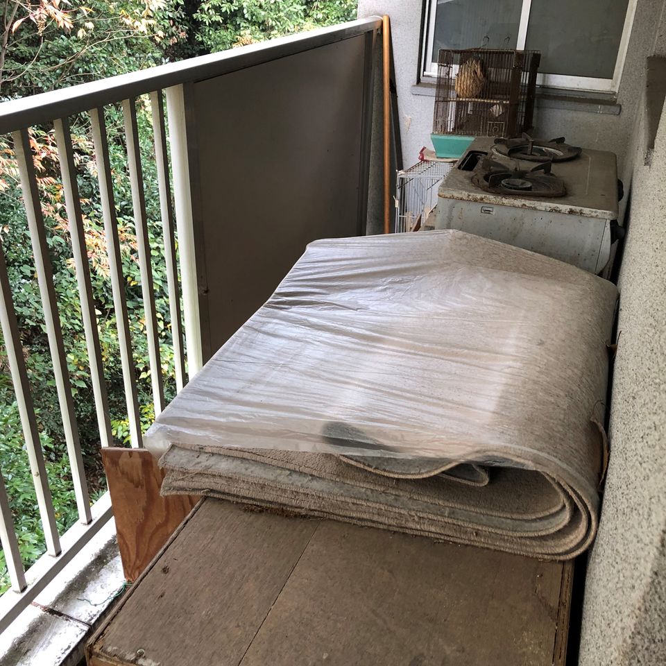 IMG_3537.jpeg